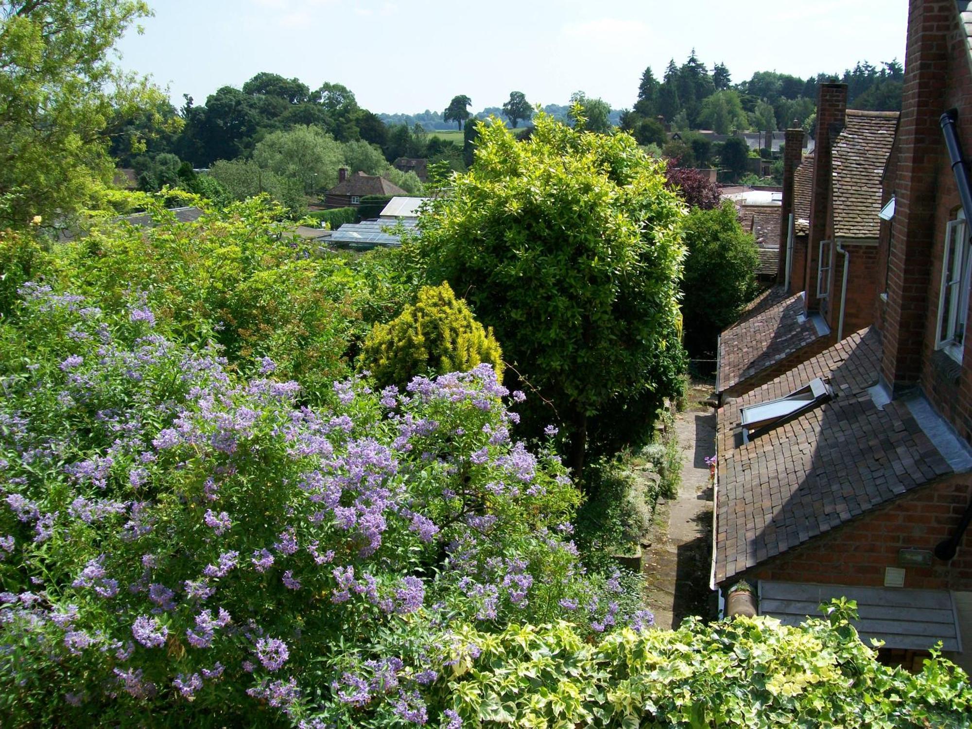 Frog Cottage, Ludlow - A Charming Townhouse For 4 Exterior foto